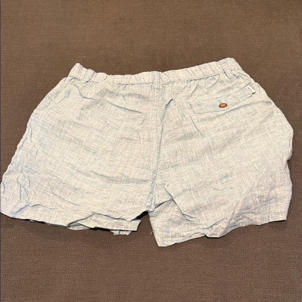 Chubbies Sky Blue Casual Shorts - Picture 3 of 3